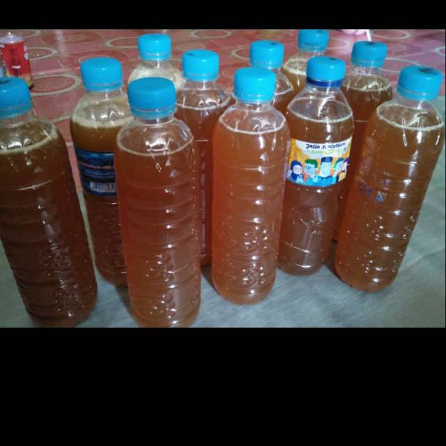 

Madu asli hutan kalimantan