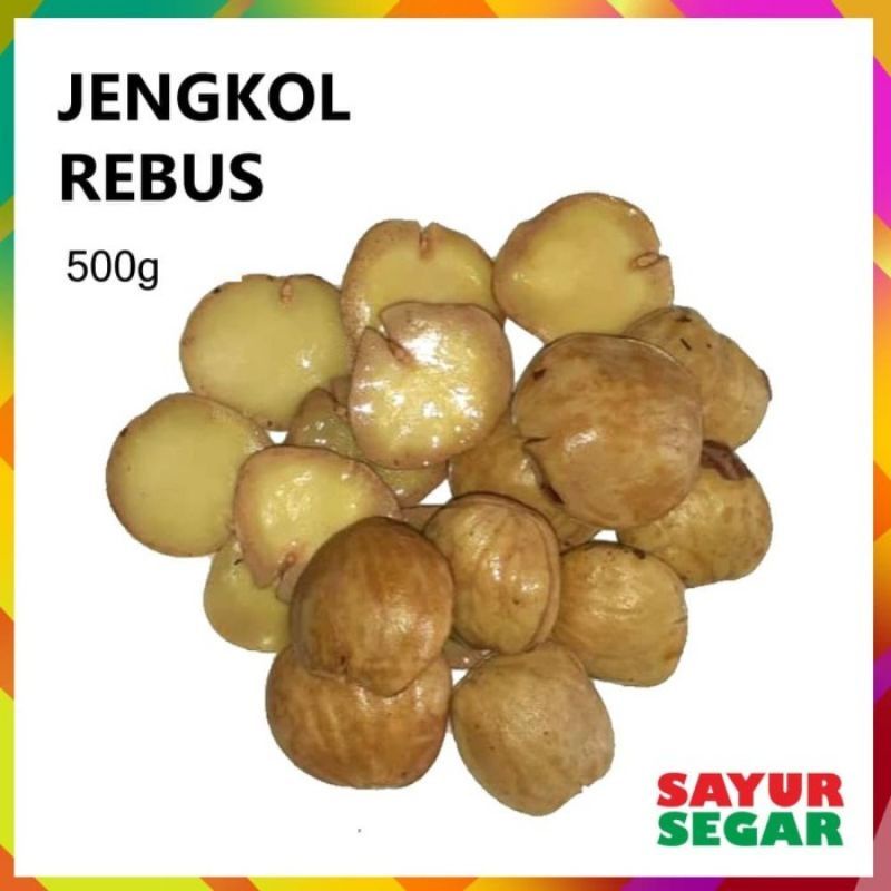 

250 gram jengkol tua rebus ga bau siap masak fresh enak tua legit