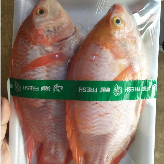 

IKAN NILA FRESH 500 GRAM