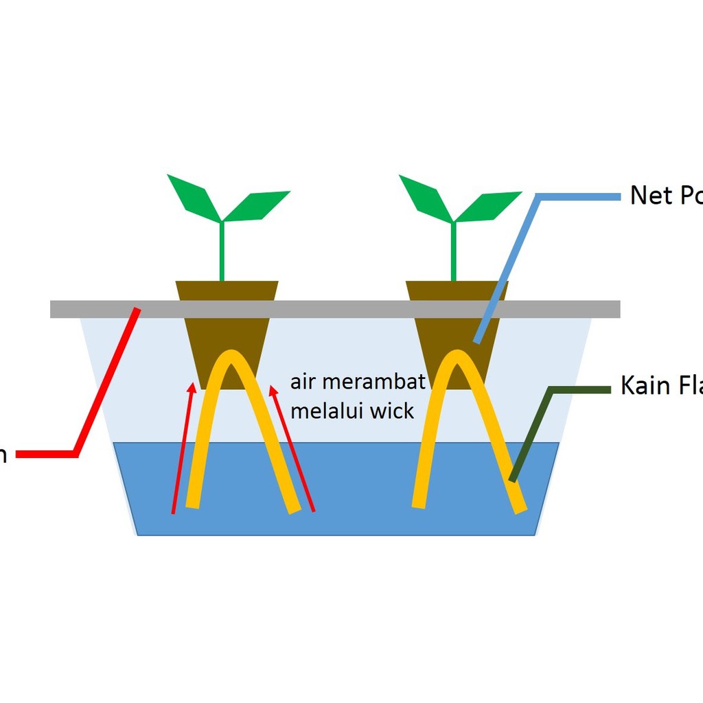 HIDROPONIK SET STARTER KIT PEMULA LENGKAP SIAP PAKAI DENGAN PANDUAN PAKET 1 BAK 9 LUBANG BAK - SL