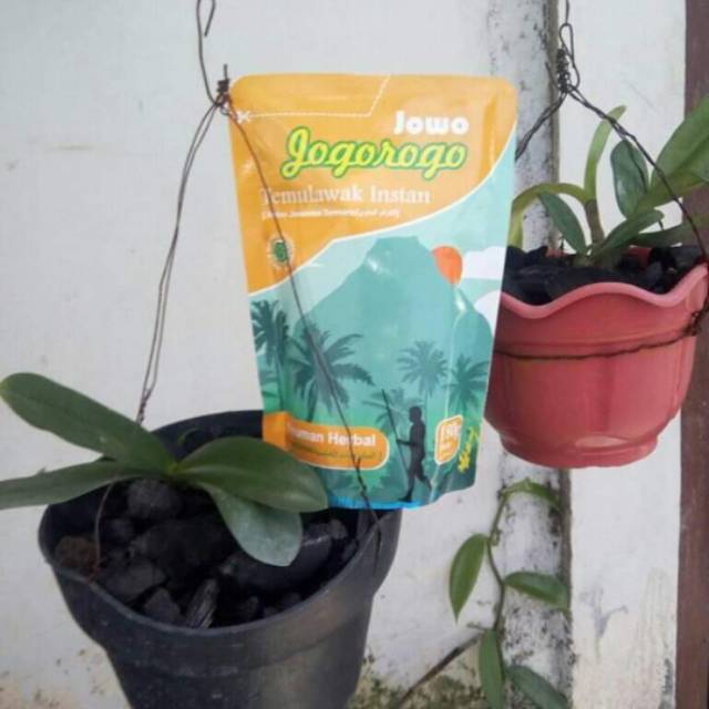 Jamu Temulawak Bubuk Instan Cap Jowo Jogorogo