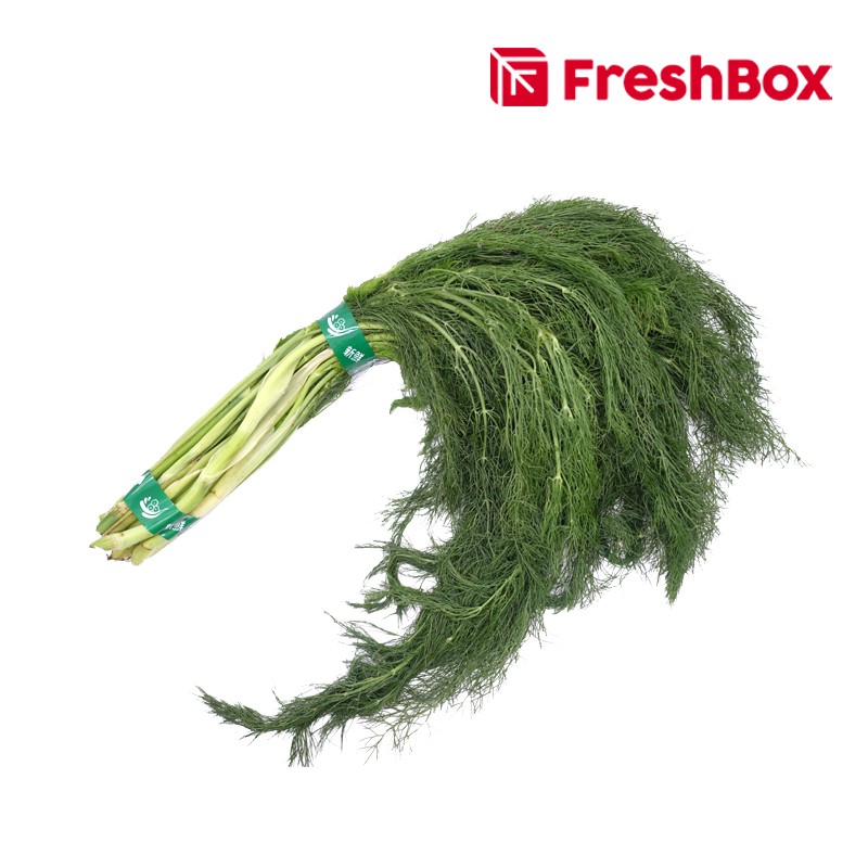 

Daun Dill / Dill Leaves 500 Gr FreshBox