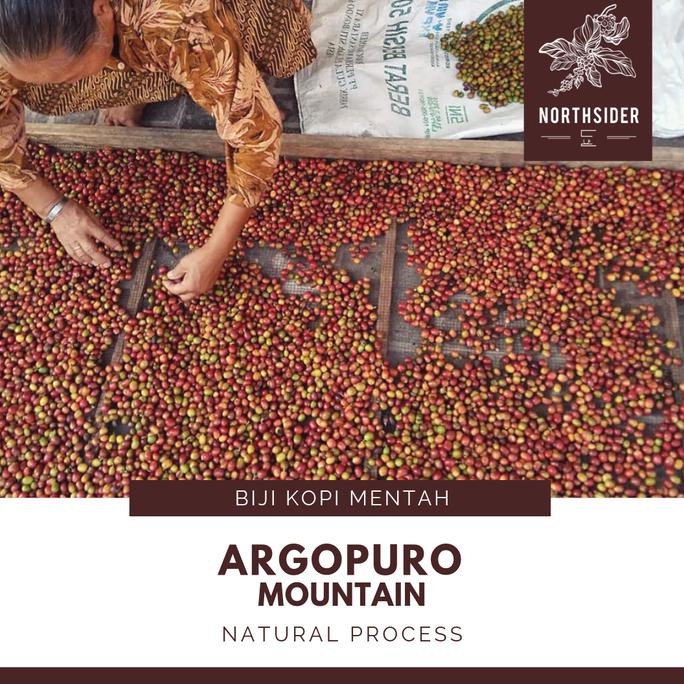 

BIJI KOPI ARABIKA ARGOPURO NATURAL - BIJI KOPI MENTAH STOK TERBATAS