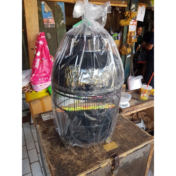 SANGKAR PERKUTUT FIBER KERETA KENCANA