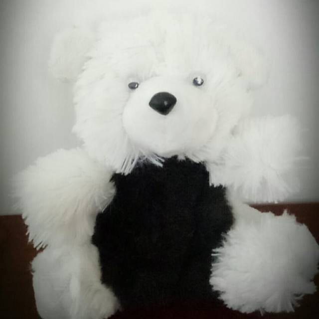 BONEKA BERUANG KECIL