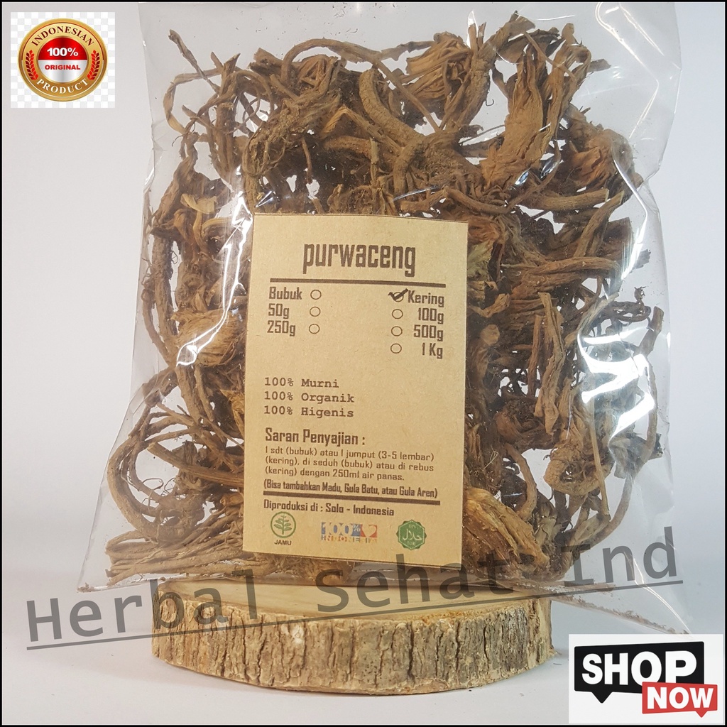 PURWOCENG KERING 100 GRAM - Pimpinella Pruatjan - MURNI