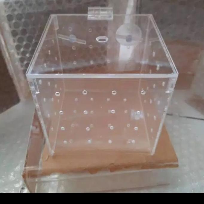 

AKSESORIS PERNIKAHAN ACRYLIK BOX AKLAMASI IKAN PERLENGKAPAN PESTA CRAFT
