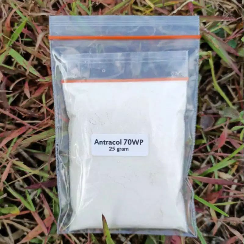 obat jamur Fungisida antracol 25gram