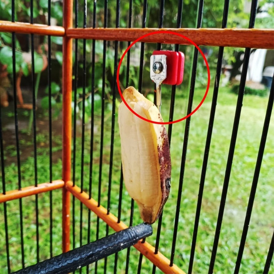 Gantungan Cantolan Buah Pisang Sayur Sotong Kandang Sangkar Burung