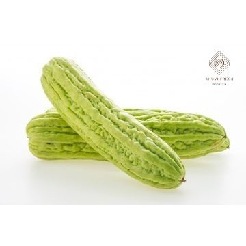 

Pare 500 gr Fresh Murah