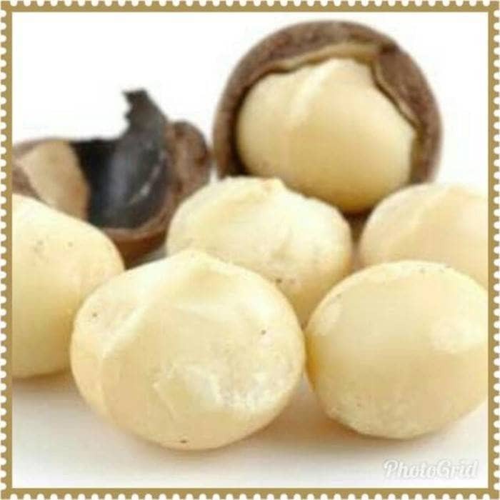

PROMO KACANG MACADAMIA MENTAH UK 100GRAM CEMILAN KETO DIE TERMURAH