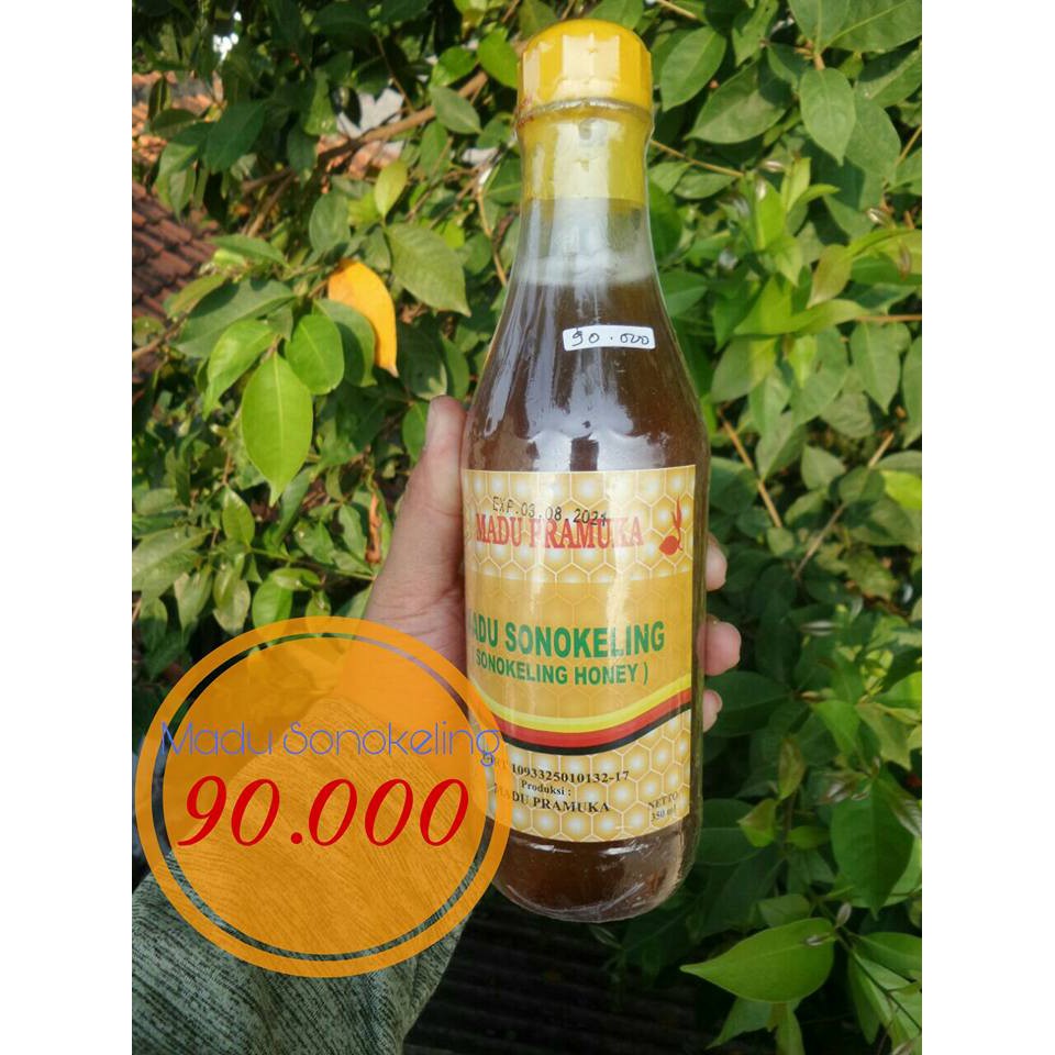 

madu sonokeling 350ml madu pramuka
