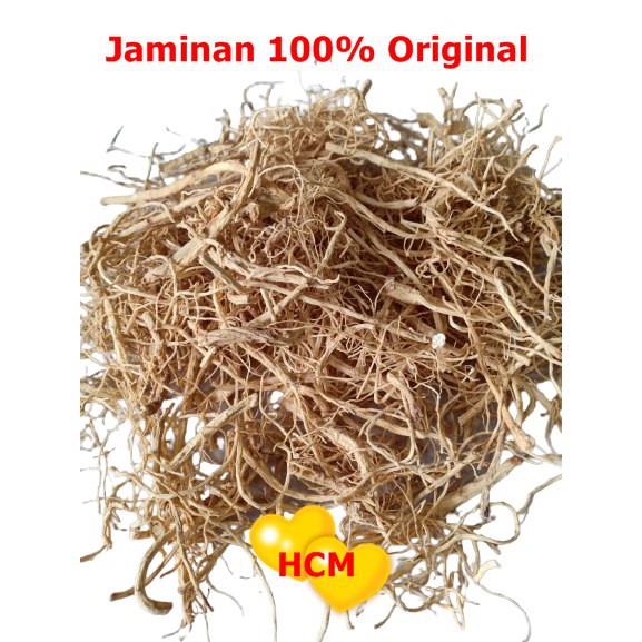

Akar Ginseng / Herbal Untuk sakit gigi dan panas dalam - Singapore