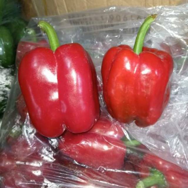 

Paprika merah