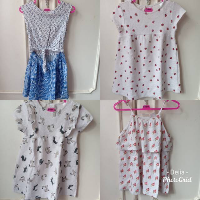 Zara dress gingersnap dress