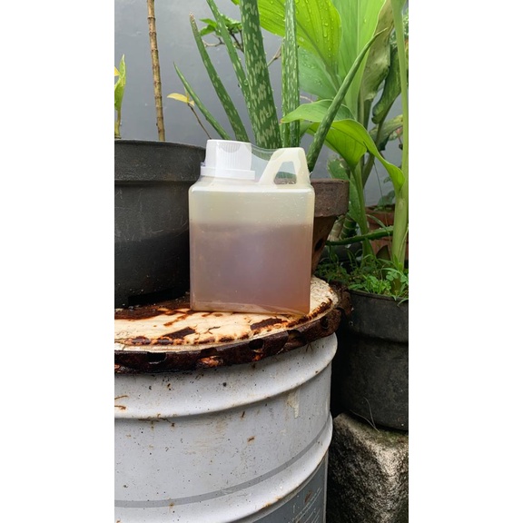 

Madu kelengkeng curah isi bersih 500g