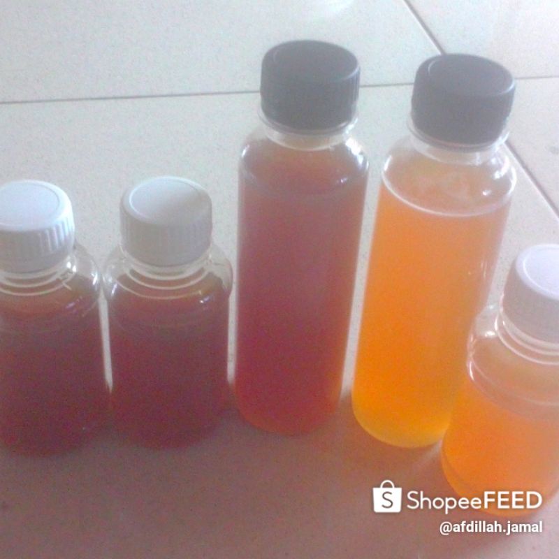 

madu kelanceng murni