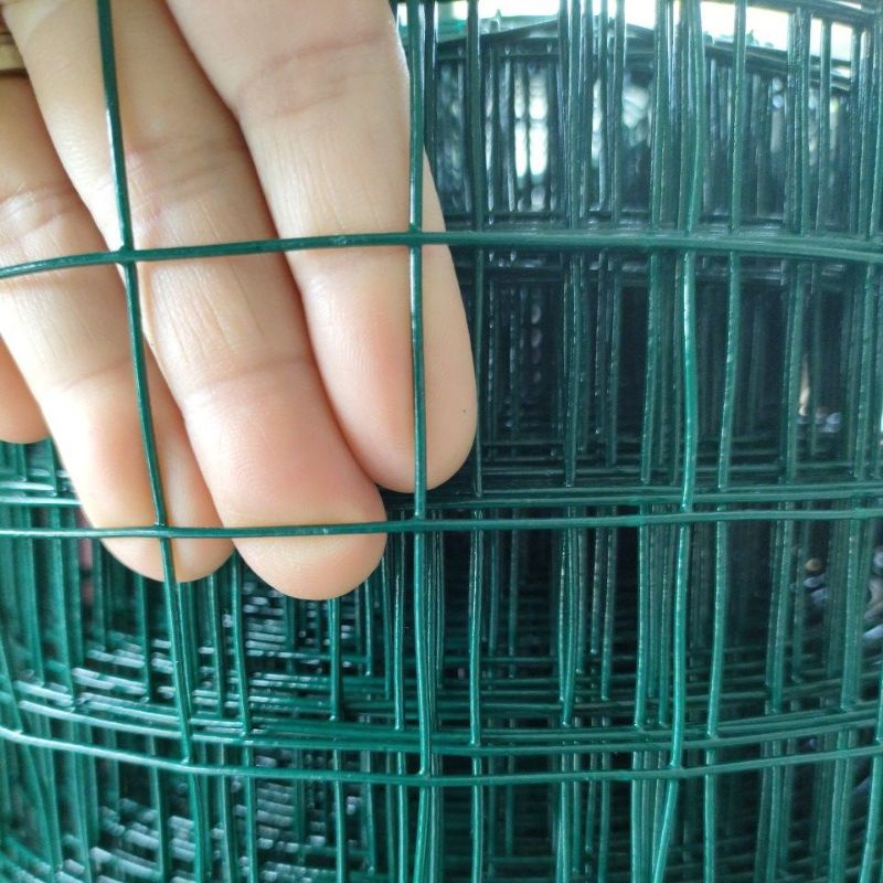 Kawat pvc 1 inch lebar 1 meter anti karat  kawat kandang ayam kawat ram kawat loket kawat jaring