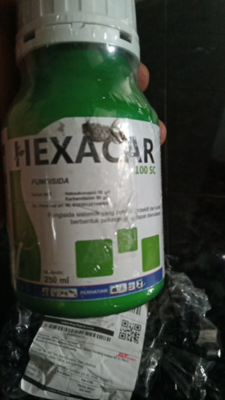 Fungisida Untuk Antraknosa Hexacar 100sc 250ml