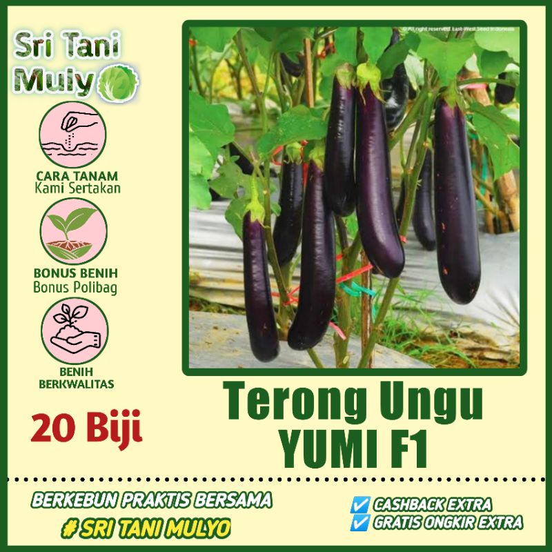 20 Biji - Benih Terong Ungu YUMI F1 - Cap Panah Merah Benih Terong Favorit Petani - Bibit Sayuran HA