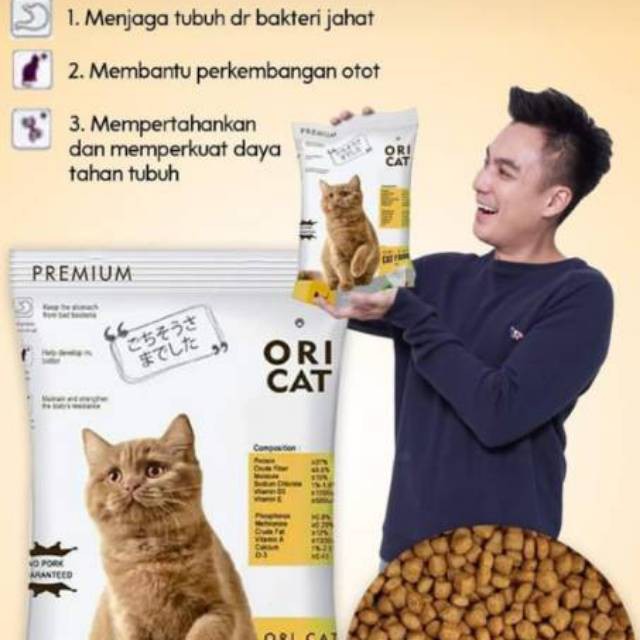 MAKANAN KUCING ORI CAT FOOD PREMIUM 1 KG REPACK MURAH