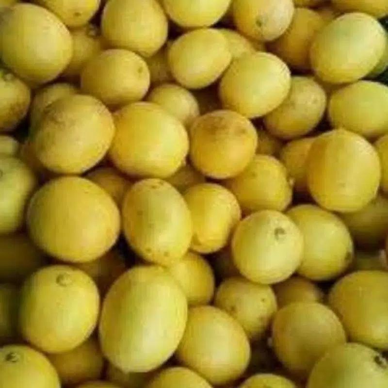 

sayursegar LEMON LOKAL 500gr