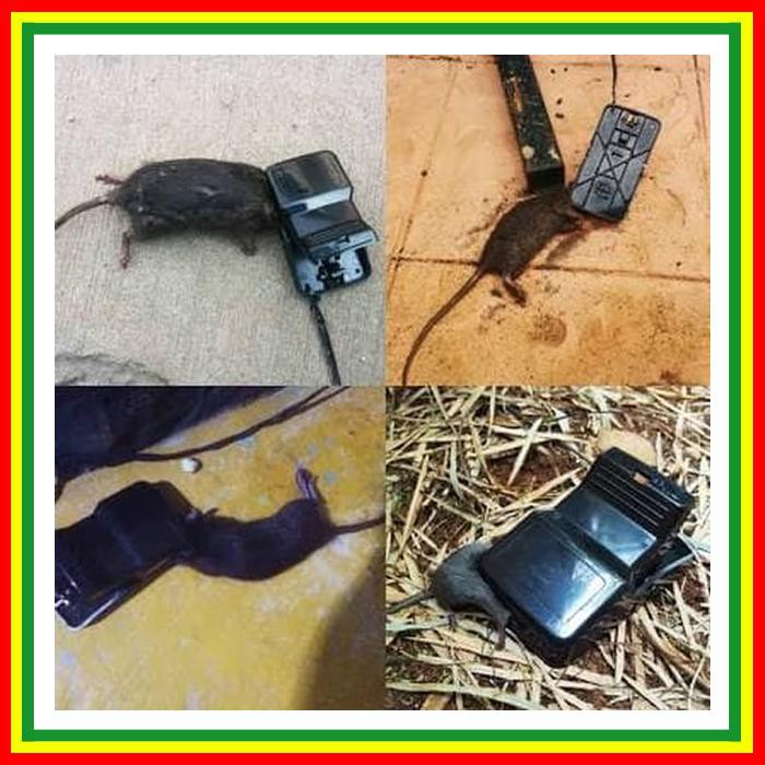 JONICAT ALAT PENGUSIR DAN PEMBASMI HAMA PERANGKAP ATAU JEBAKAN TIKUS