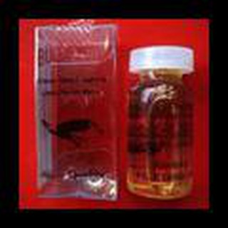 HOT SALE MINYAK BULUS - OIL, UNTUK WANITA DAN PRIA