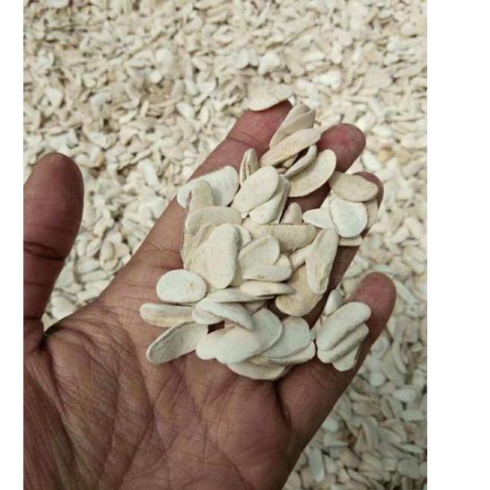 

TERLARIS buah biji mahoni kupas 500 grm