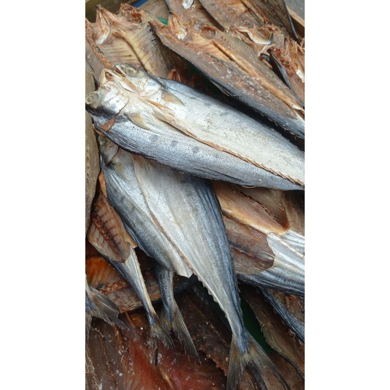 

IKAN ASIN PANDAN2