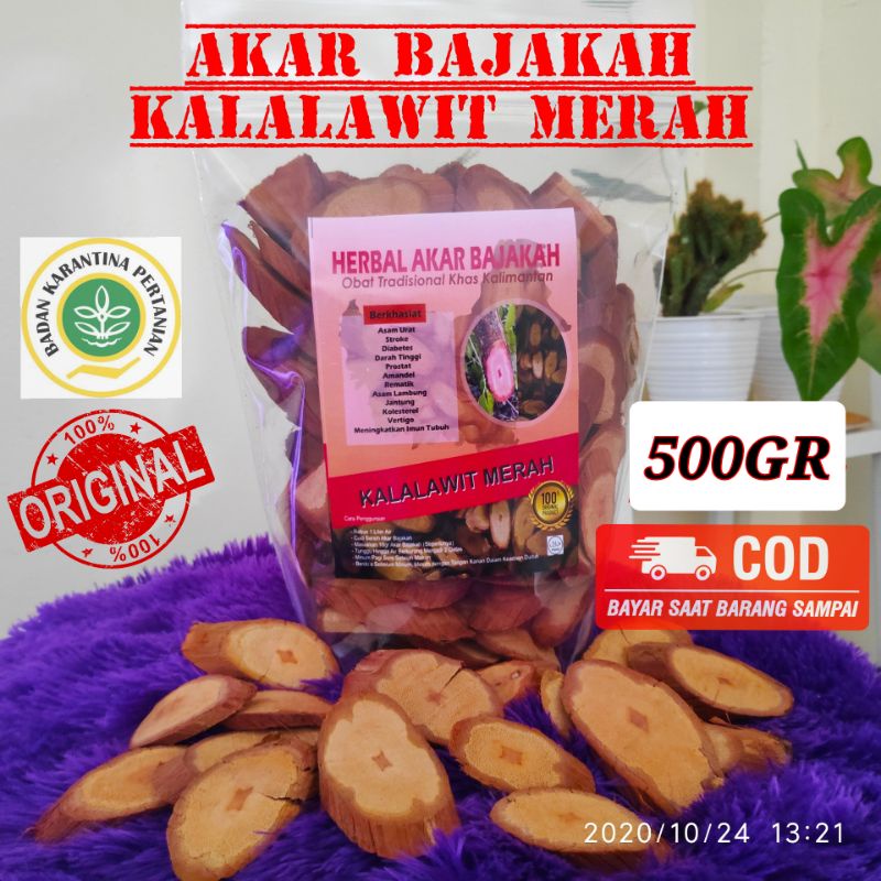 

BAJAKAH KALALAWIT MERAH ASLI KALIMANTAN 500GR 100%ORIGINAL