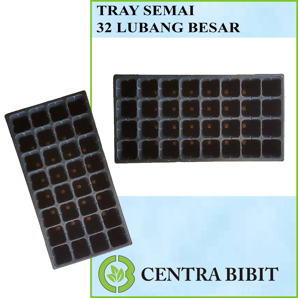 Tray Semai 32 Lubang Besar