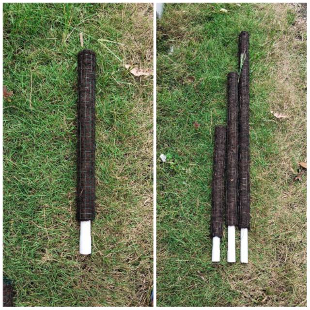 Turus tiang penyangga rambatan 50cm