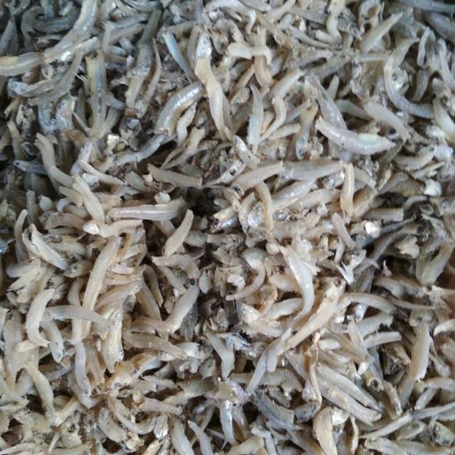 

TERI NASI BUNTIAU BONTIAU BONTIU