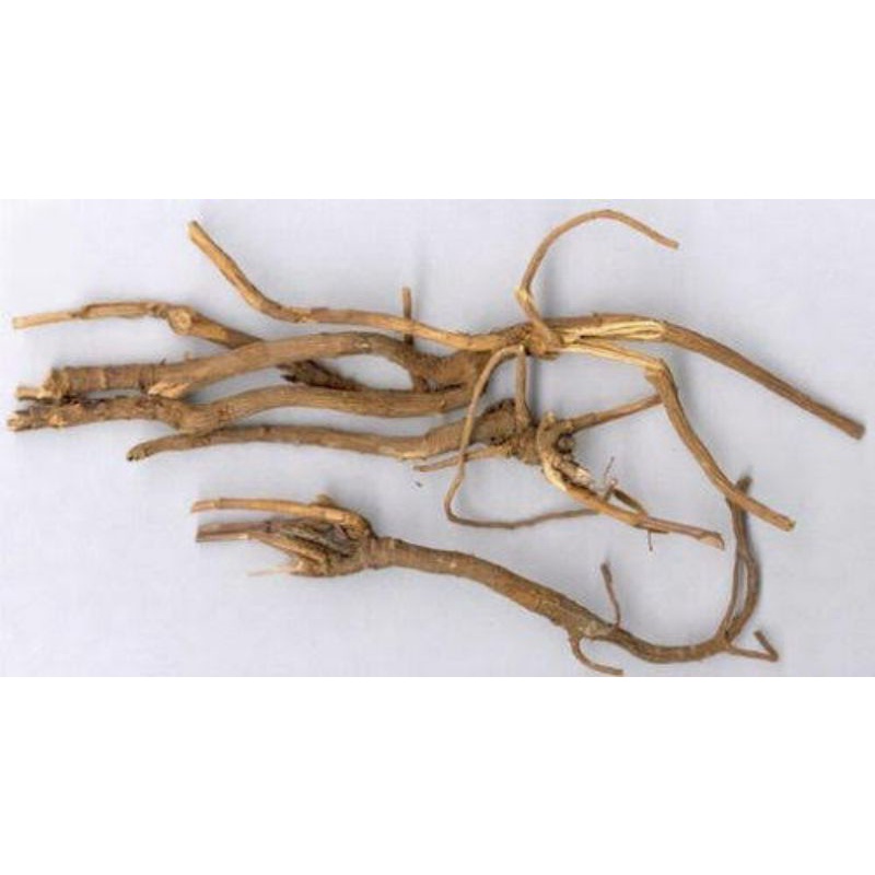 

100gr Herbal Chai Hu Bupleuri Radix / Chinese Thorowax Root / Chai Hu Concentrated Granules Kaiser /