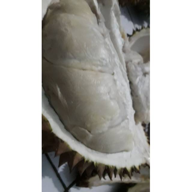 

Duriqn lokal fressss