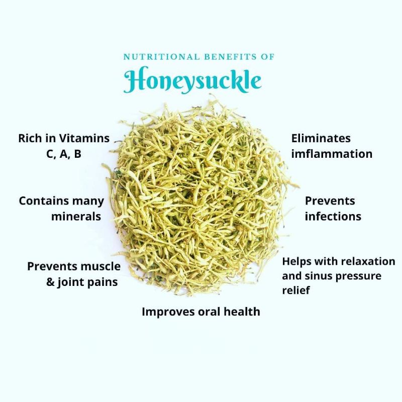 Honeysuckle Tea : Honeysuckle Flower Herbal Tea Isi 30 Tea Bag