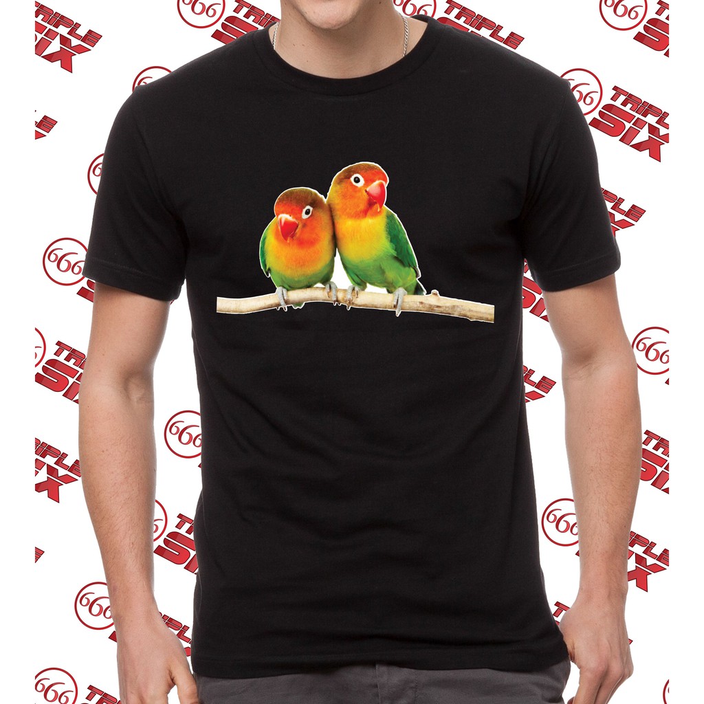 Kaos lovebird