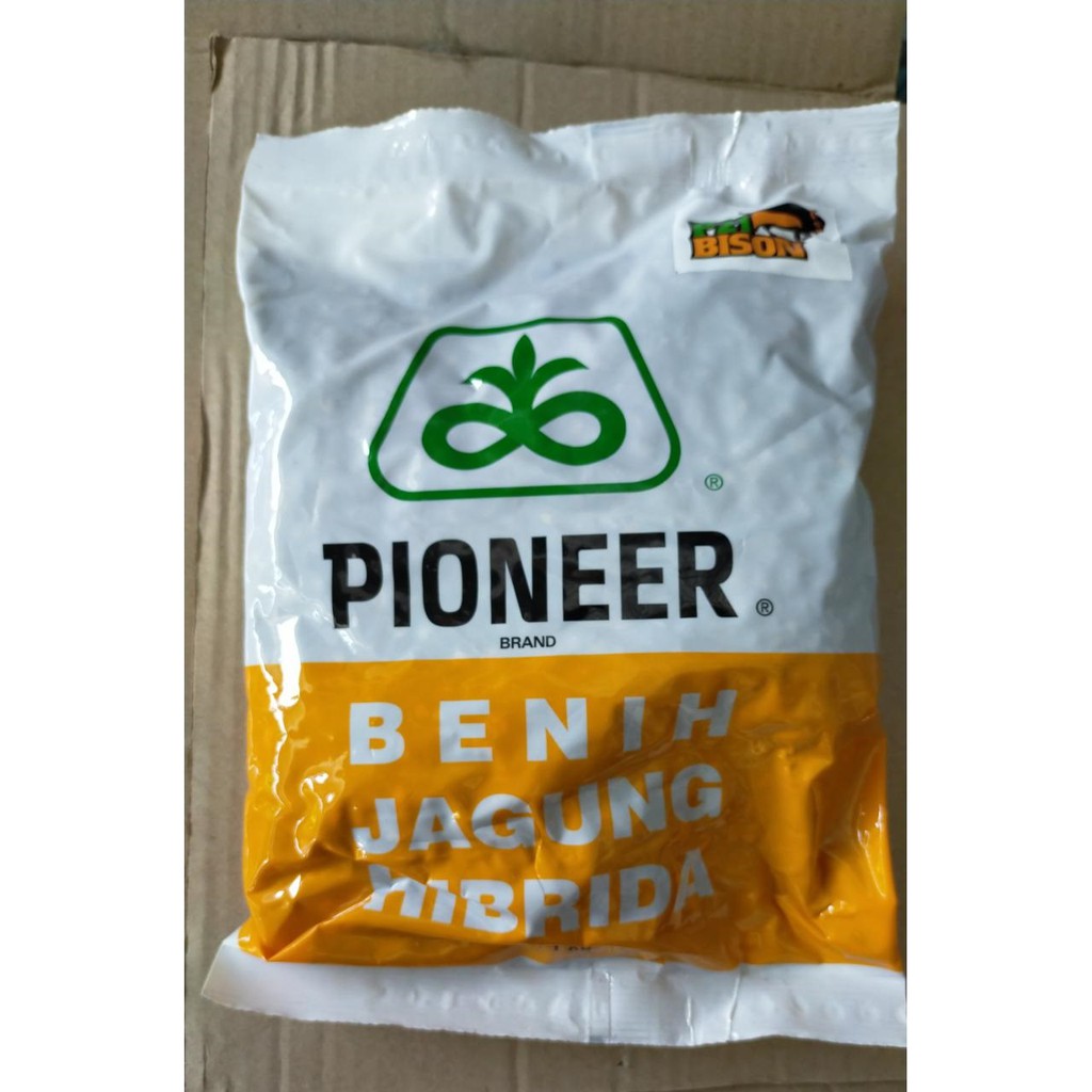 BENIH JAGUNG PIONEER P21