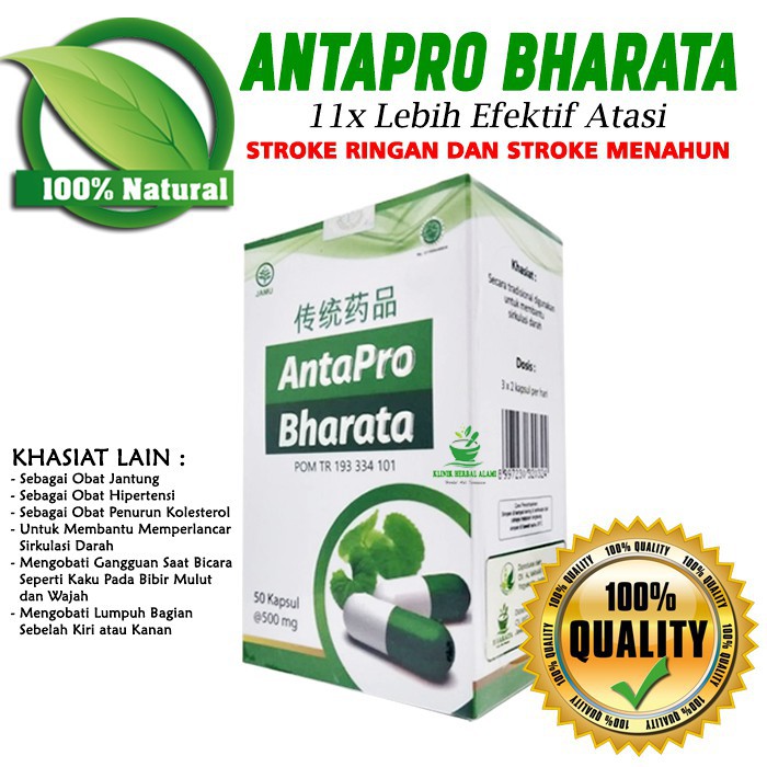 Best Antapro Bharata Obat Stroke Ampuh Ramuan Shinshe China Shopee Indonesia