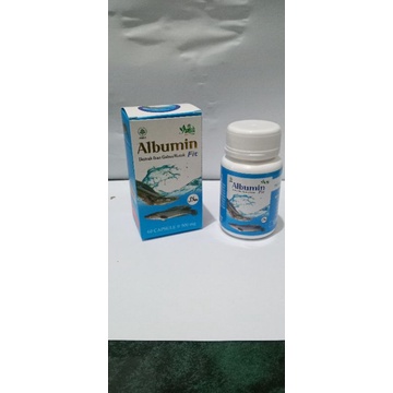 Albumin fit Inayah