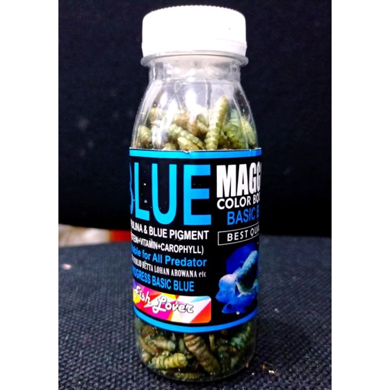 Makanan Ikan Predator Maggot Kering FISH LOVER RED BLUE YELLOW MAGGOT BOTOL COLOR BOOSTER 30gr