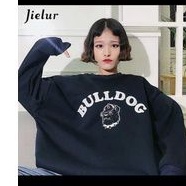 SWEATER BULLDOG