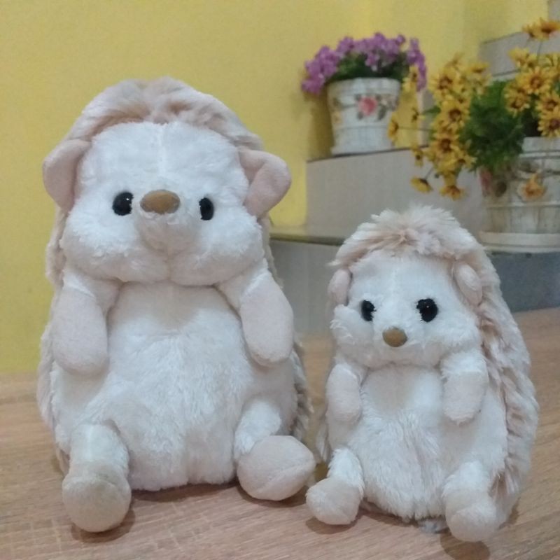 Sunlemon Hedgehog White