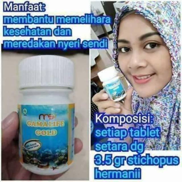 MSI GAMAT GOLD Teripang ORIGINAL