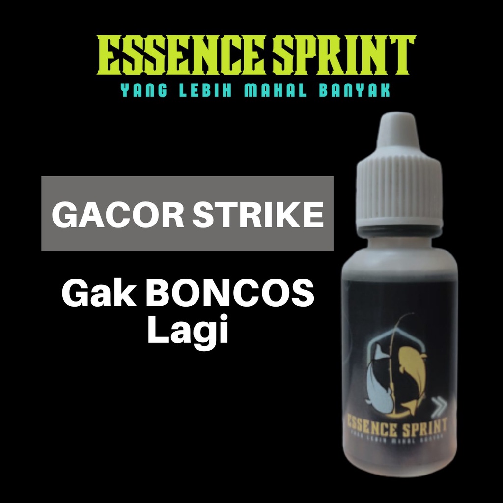 Essen Ikan Mas - Esen Oplosan - Eseen Ikan Mas Babon Galatama Rame Untuk Lomba