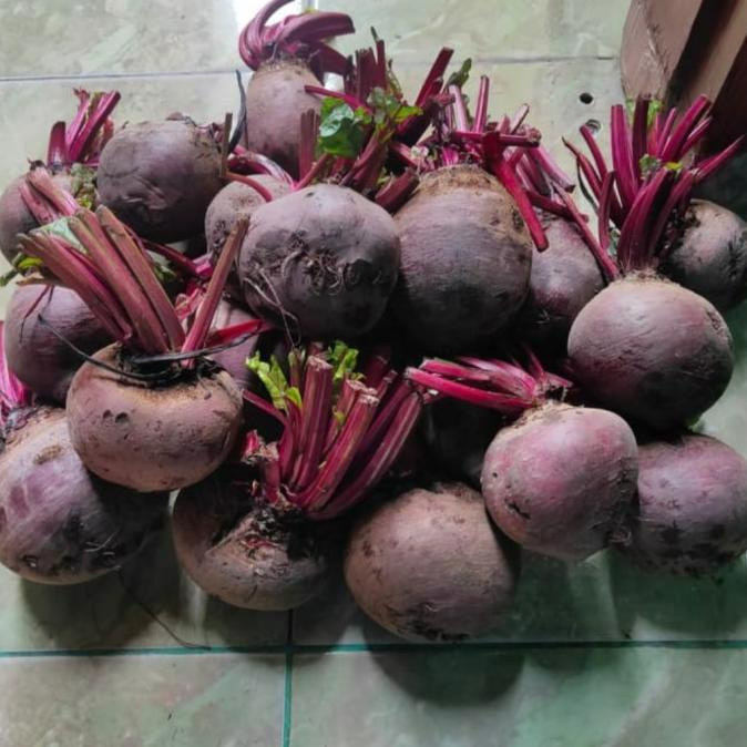 

Ready...Ready...Ready...] Buah Bit/Beet Root 1kg