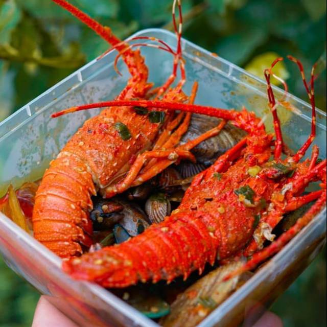 

Lobster Minimalis 2