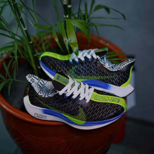 Nike air zoom pegasus