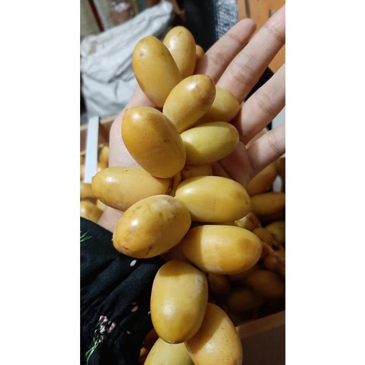 

Kurma Muda Segar / Kurma Muda fresh / kurma muda Merah/ kurma muda Kuning / kurma muda / Kurma / Kurma Muda Promil / Kurma Promil / Ruthob / Kurma Muda Barhi / Kurma Ruthob / Kurma Muda Ruthob